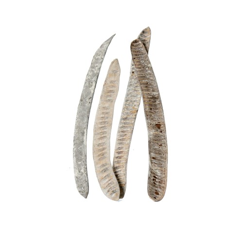 MACHETE STEP FRUIT - WHITE WASHED.jpg