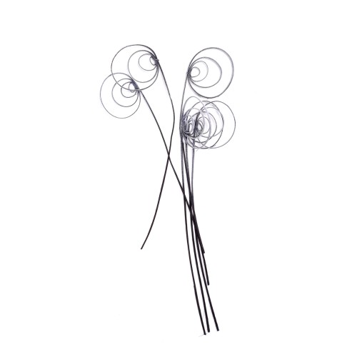 CANE COIL - CZARNY FLOK.jpg