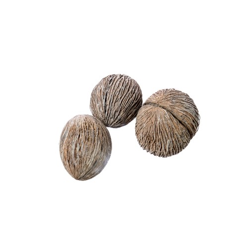 MINTOLA BALL - WW.jpg