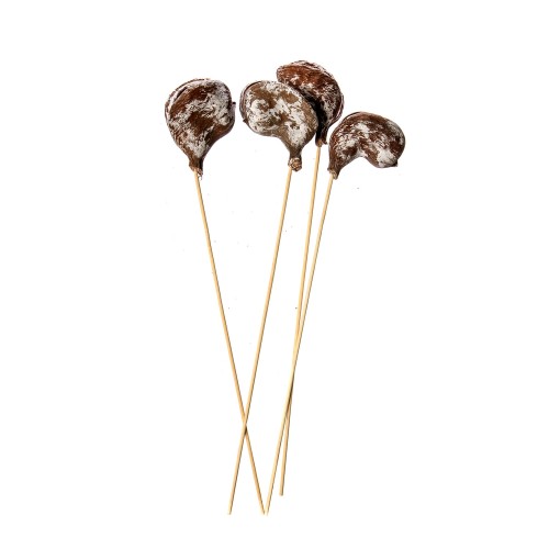 BADAM STICK - SNOW TIP .jpg