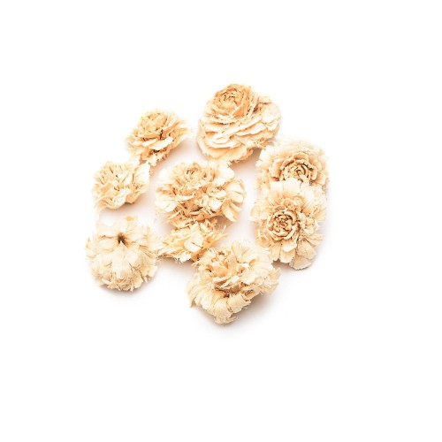 CEDER ROSE MDM - WYBIELANY : BLD (1).jpg