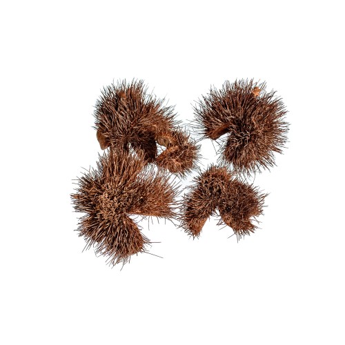 THORNY PODS - WW-OR.jpg