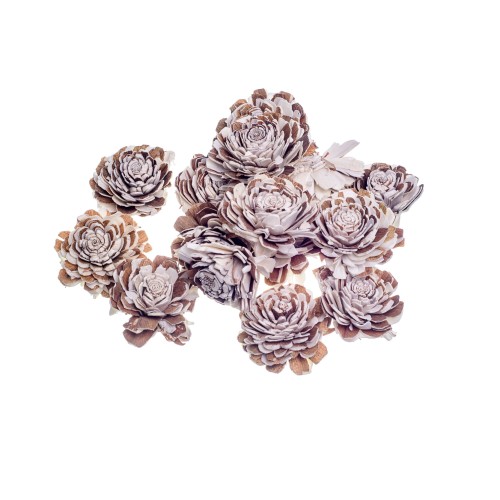 SHOLA BELLY MIX- 6cm.jpg