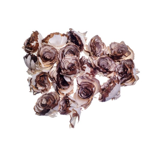 SHOLA CEDAR ROSE - 6cm.jpg