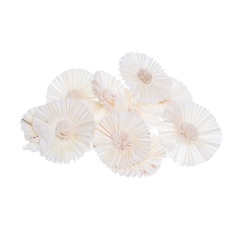 SHOLA KARNIS SUN - 8cm.jpg