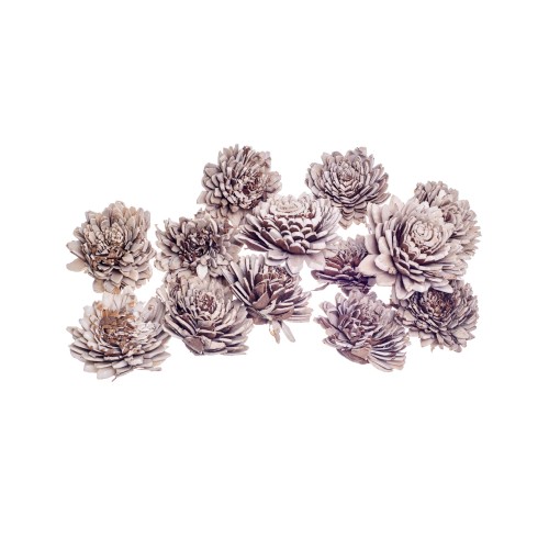 SHOLA ZINNIA MIX - 8cm.jpg