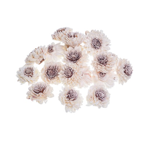 SHOLA ZINNIARY - 4cm .jpg