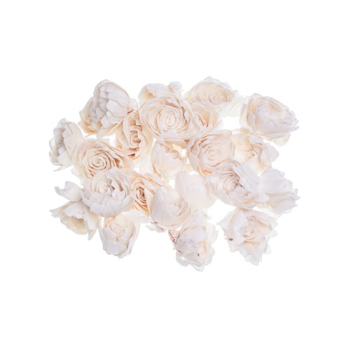 SHOLA PALASH - 6 cm.jpg