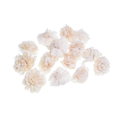 SHOLA DAHLIA - 6cm.jpg