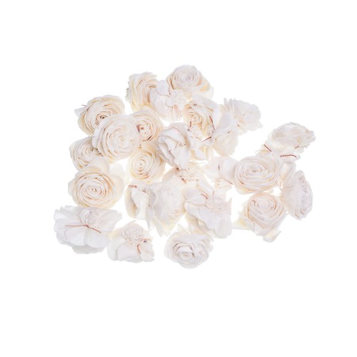 SHOLA BEAUTY ROSE - 4cm.jpg