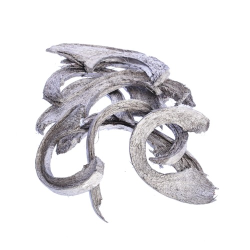 COCO STRIPE : C CUT - WHITE WASHED.jpg