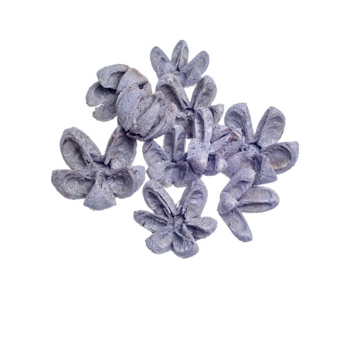 KARTOS PODS -GR-WW.jpg