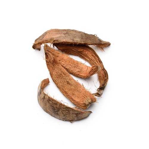 COCO MOON - NATURE.jpg