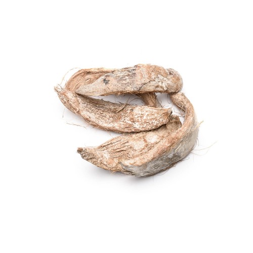 COCO MOON - WHITE WASH.jpg