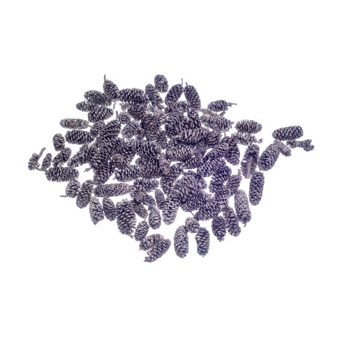 BIRCH PINE - SILVER : PLATINUM.jpg