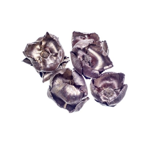 PALM CUP - GOLD : PLATINUM.jpg