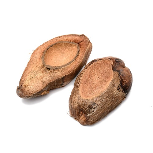 COCO HALF CUT - NATURE.jpg