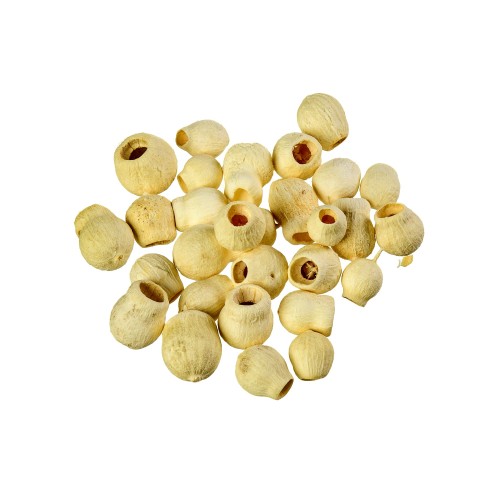 EUCALIPTUS BELGUM - BLD.jpg