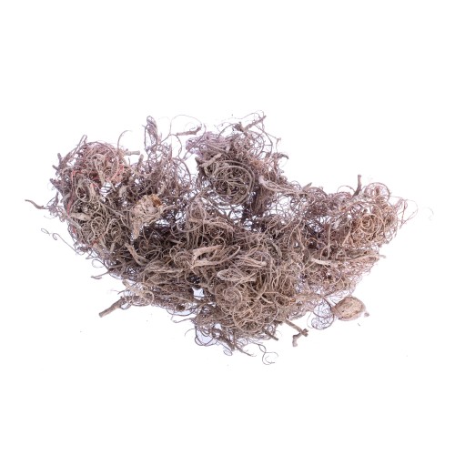 CURLY MOSS - WHITE WASHED.jpg