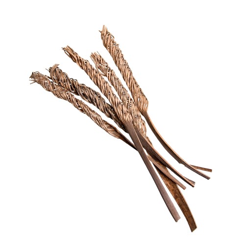 COCO 14 FINGER - NATURE.jpg