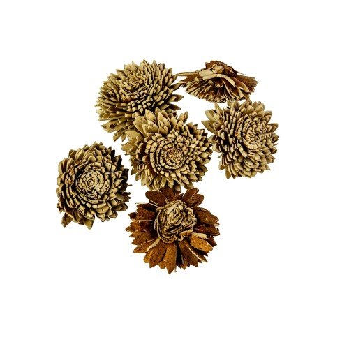 SHOLA ZINIA SKIN - 8cm.jpg