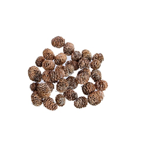 STRICTUM - WHITE WASHED.jpg