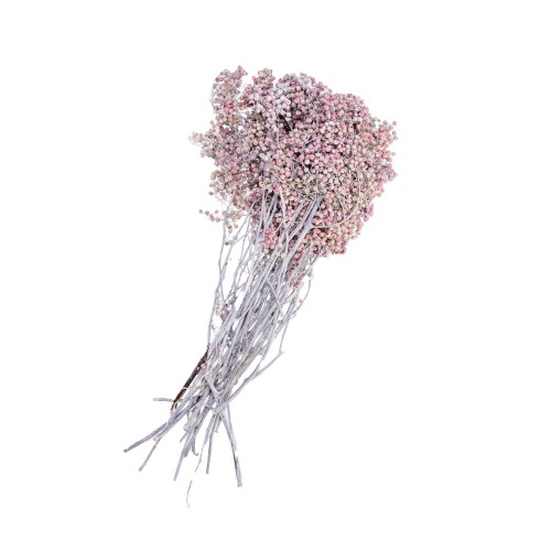 PEPPER BERRIES - WHITE WASHED.jpg