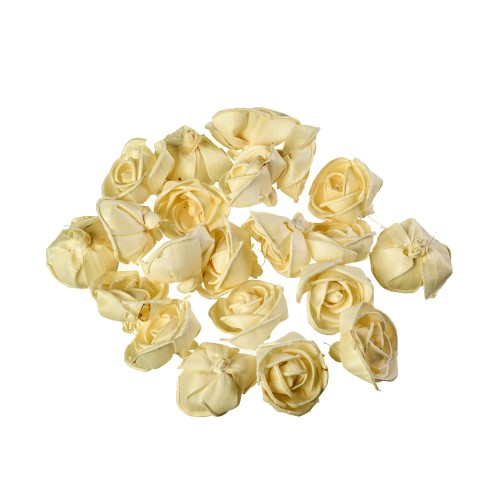 SHOLA BUD ROSE 4:25.jpg