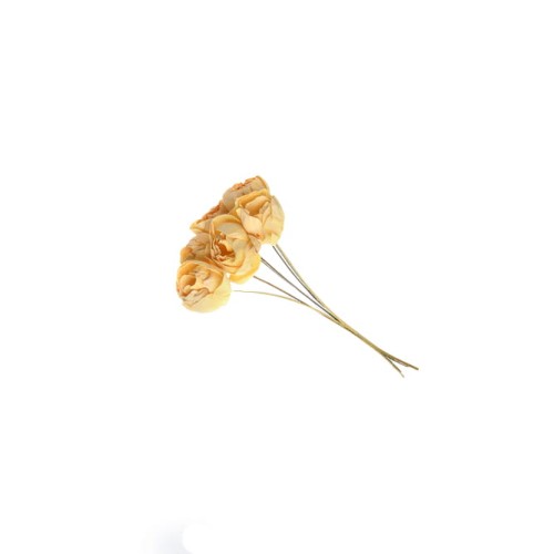 SHOLA PEONY - YELLOW.jpg