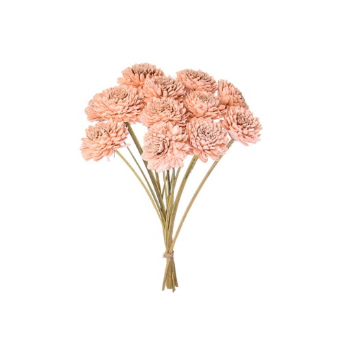 BOUQUET SHOLA ZINNIARY PINK - 6cm.jpg