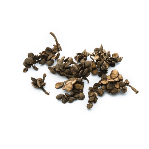 KANDA POT - NATURE.jpg