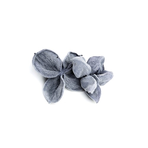 LAND LOTOS - CZARNY FLOK.jpg