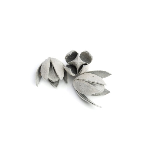 WILD LILLY - SREBRNY FLOK .jpg