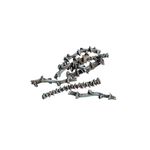 BANANA STEM CUT - GREEN TIP.jpg