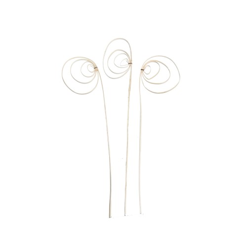 CANE COIL - WYBIELANY : BLD.jpg