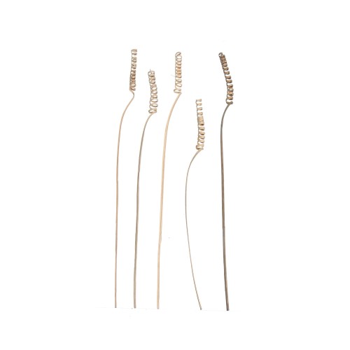 CANE SPRING - NATURALNY.jpg