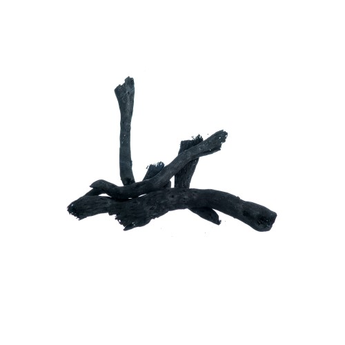 CAULIFLOWER - CZARNY.jpg