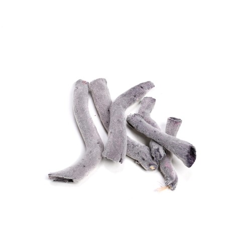 CAULIFLOWER : COFFEE STEM - CZARNY FLOK.jpg