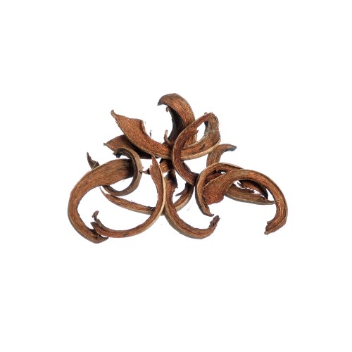 COCO C CUT - NATURALNY.jpg