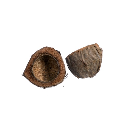 COCO HALF CUT - NATURE VERTICAL.jpg