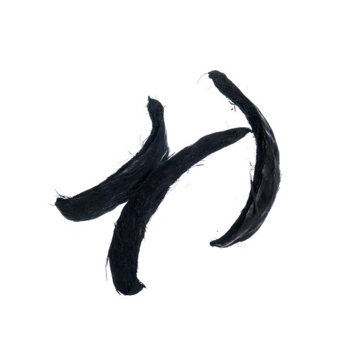 COCO MOON - CZARNY.jpg