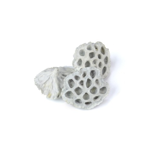 LOTOS DUZY WAX - BIAŁY.jpg