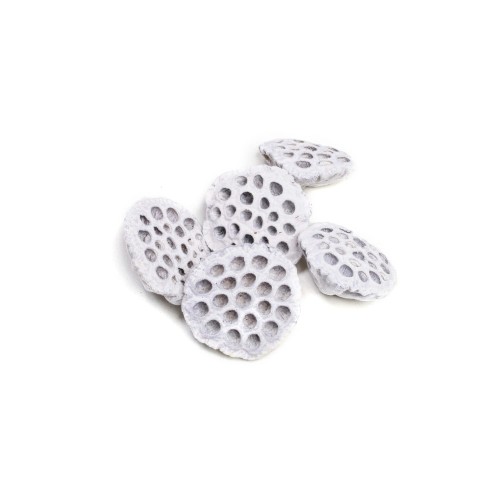 LOTOS DUŻY : LARGE - BIAŁY FLOK.jpg