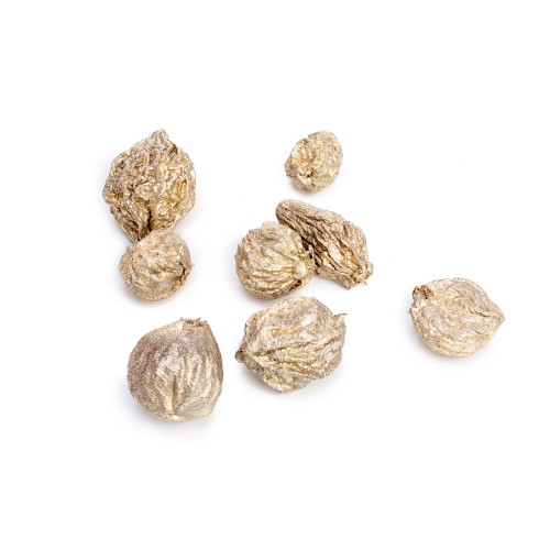 SANT FRUIT 250g - ZŁOTY:PLATYNA.jpg