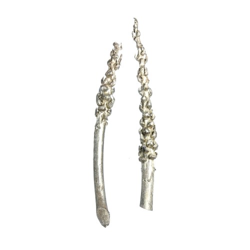 COCO BUNCH - ZŁOTY:PLATYNA.jpg