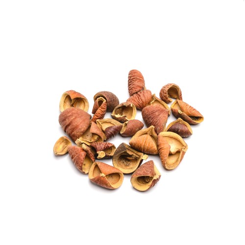 MINI PRADEEP - NATURE .jpg