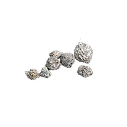 SANT FRUIT - WHITE WASHED.jpg