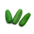 LUFA 15cm - 20cm - ZIELONY : GREEN.jpg
