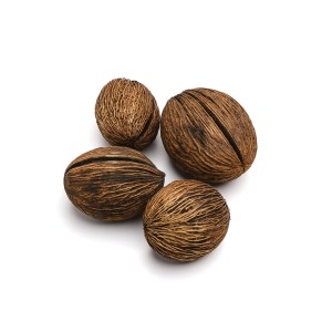 MINTOLA BALL