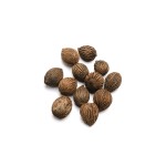 MINTOLA MINI